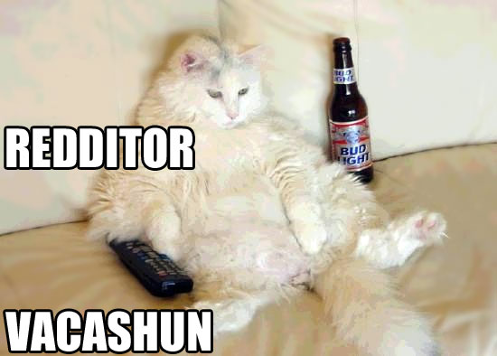 REDDITOR VACASHUN